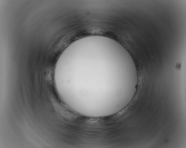 X0000116000175200911191222