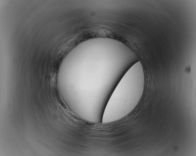 X0000116000177200911191222