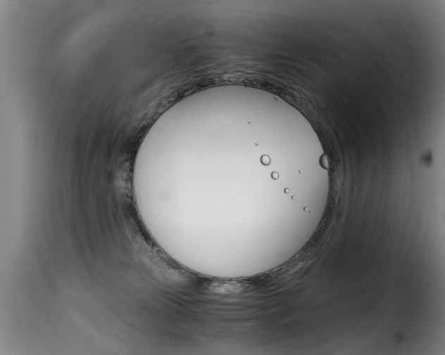 X0000116000181200911191222