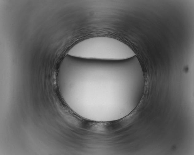 X0000116000182200911191222