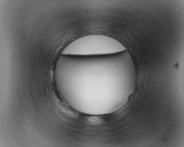 X0000116000183200911191222