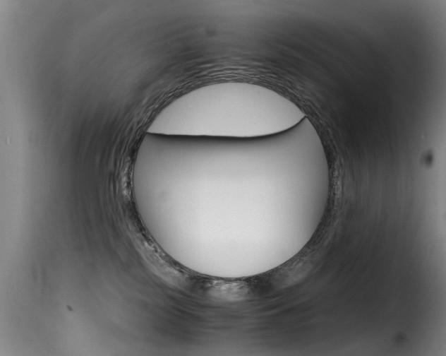 X0000116000185200911191222