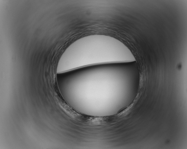 X0000116000186200911191222