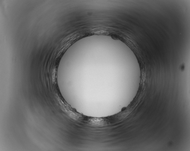 X0000116000189200911191223