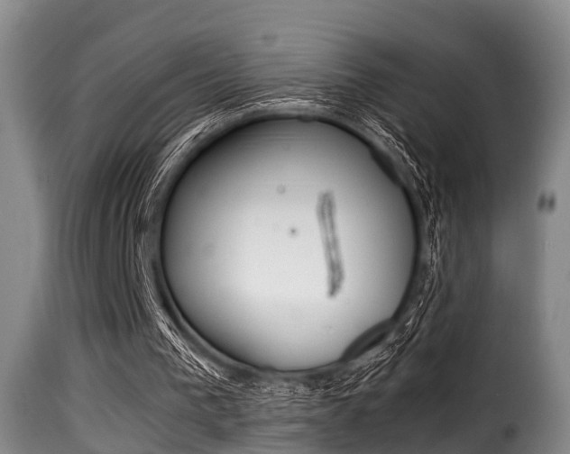 X0000116000193200911191222