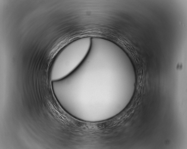 X0000116000194200911191222