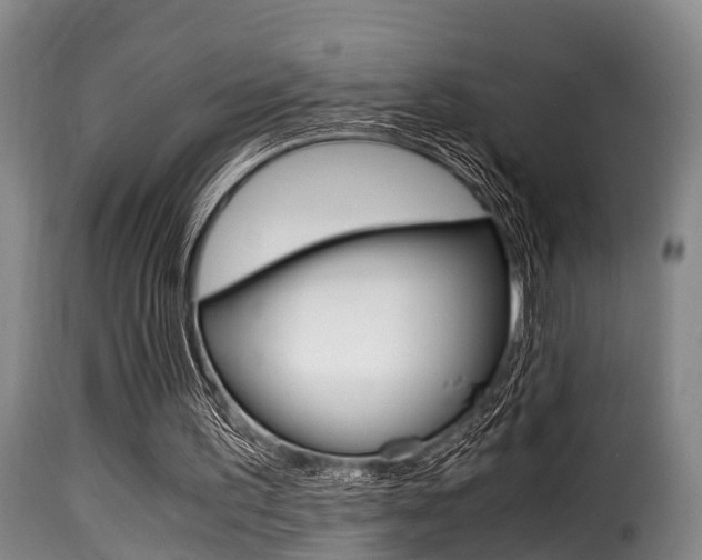 X0000116000195200911191222