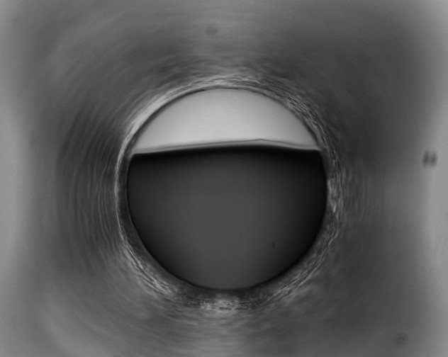 X0000116000196200911191222