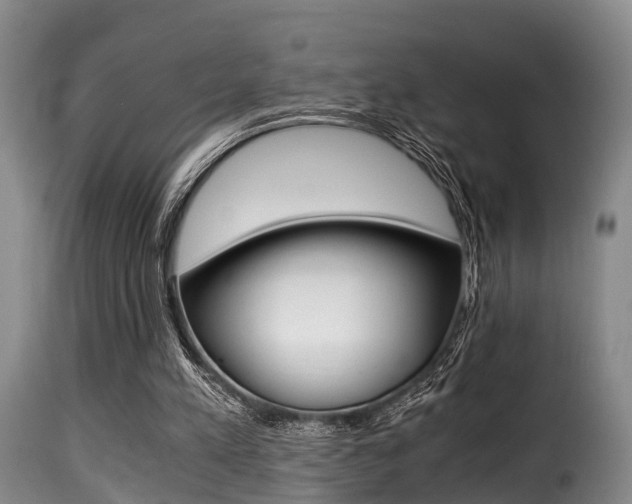 X0000116000197200911191222