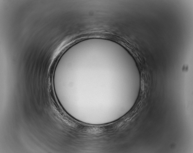 X0000116000198200911191222