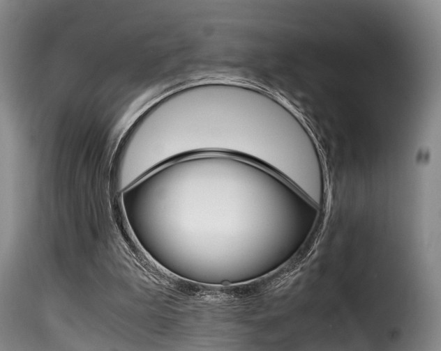 X0000116000199200911191222