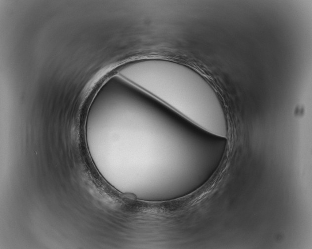 X0000116000200200911191222