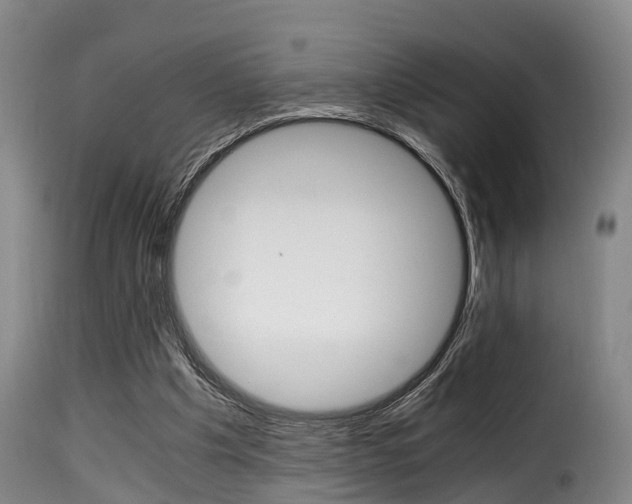 X0000116000201200911191222