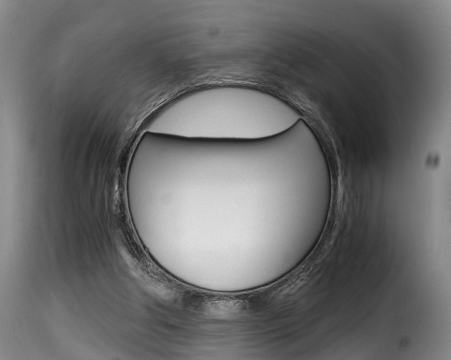 X0000116000202200911191222