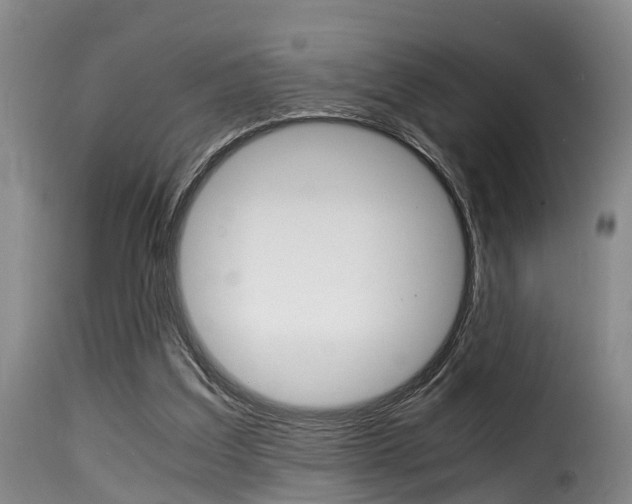 X0000116000203200911191222