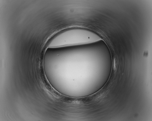 X0000116000204200911191222