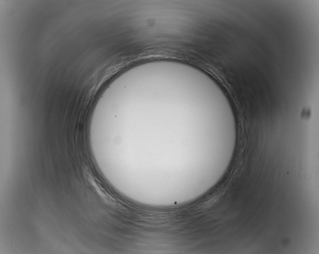 X0000116000205200911191222