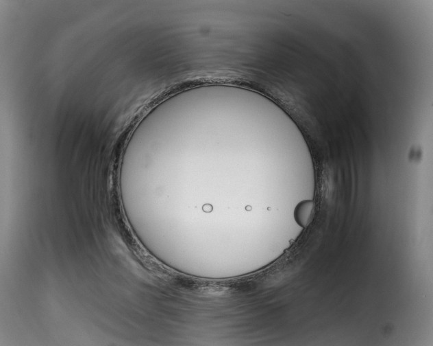 X0000116000206200911191222