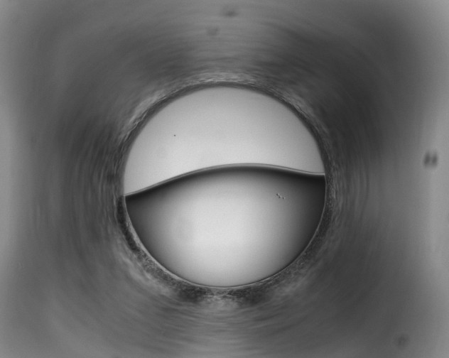 X0000116000207200911191222