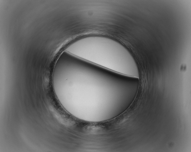 X0000116000208200911191222