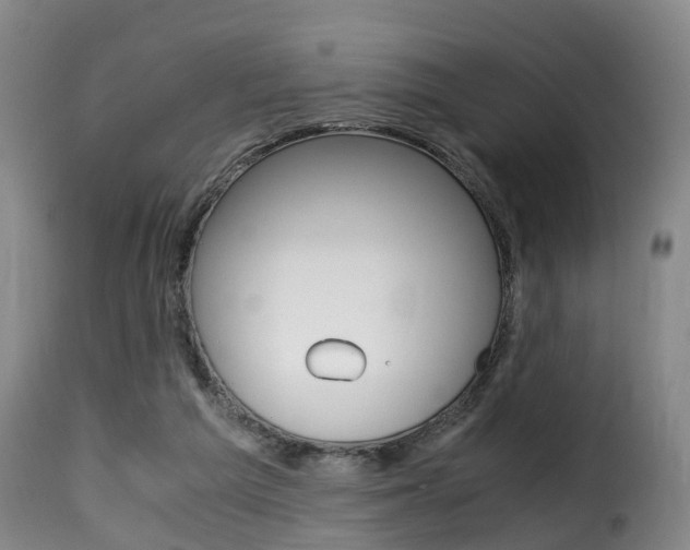 X0000116000209200911191222