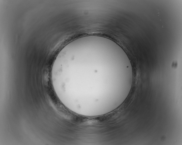 X0000116000210200911191222