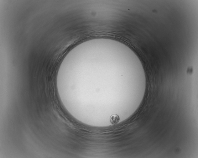 X0000116000211200911191222