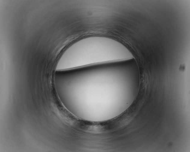 X0000116000212200911191222