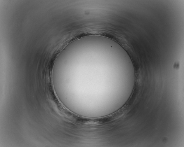 X0000116000213200911191222