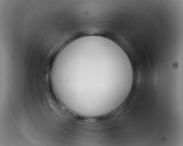 X0000116000214200911191222