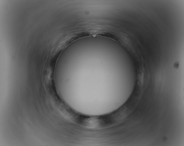 X0000116000219200911191222