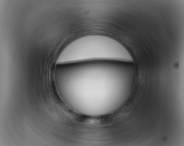 X0000116000220200911191222