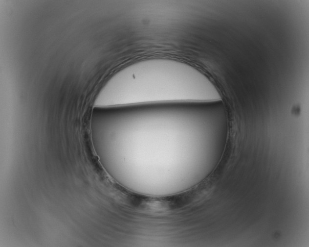 X0000116000221200911191222