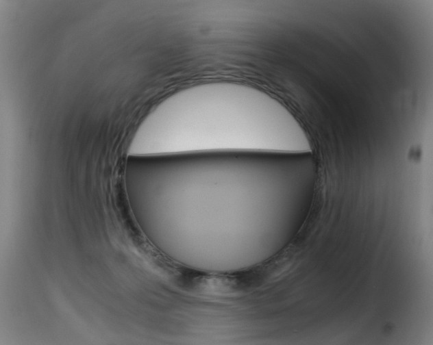 X0000116000223200911191221