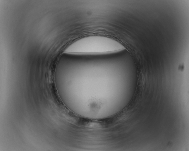 X0000116000224200911191221