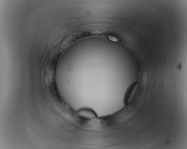 X0000116000227200911191221