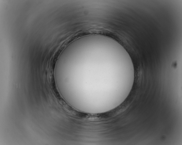 X0000116000228200911191221