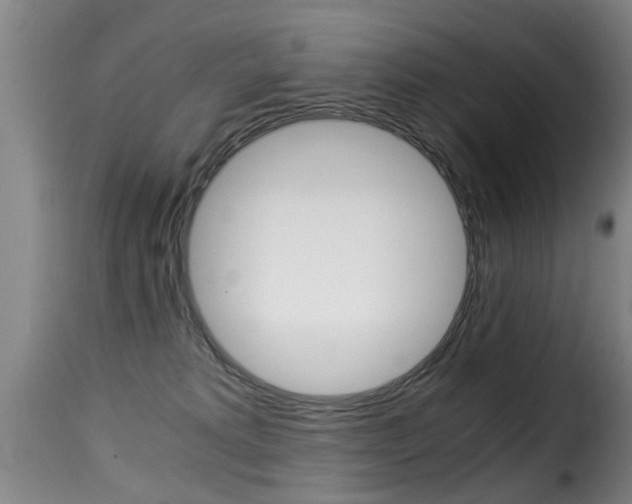 X0000116000229200911191221