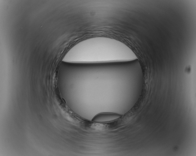 X0000116000231200911191221