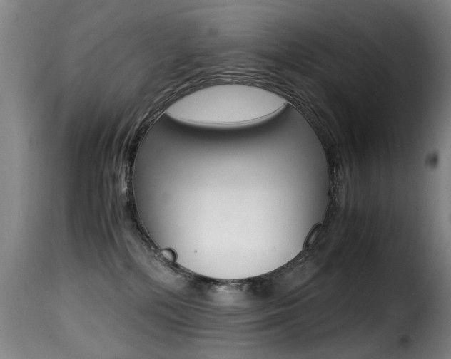 X0000116000232200911191221