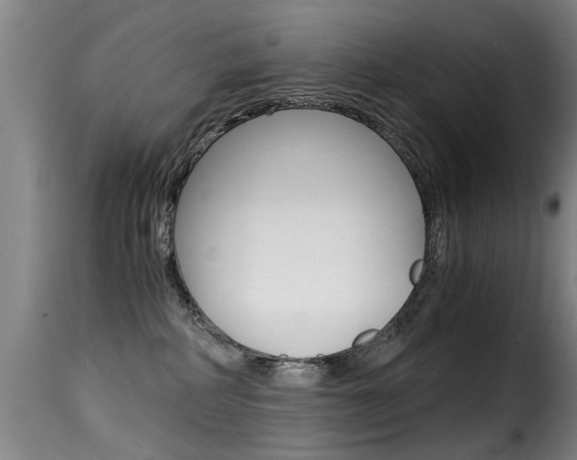 X0000116000234200911191221