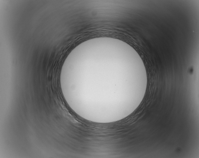 X0000116000235200911191221