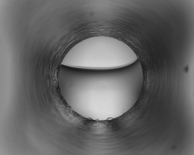 X0000116000236200911191221