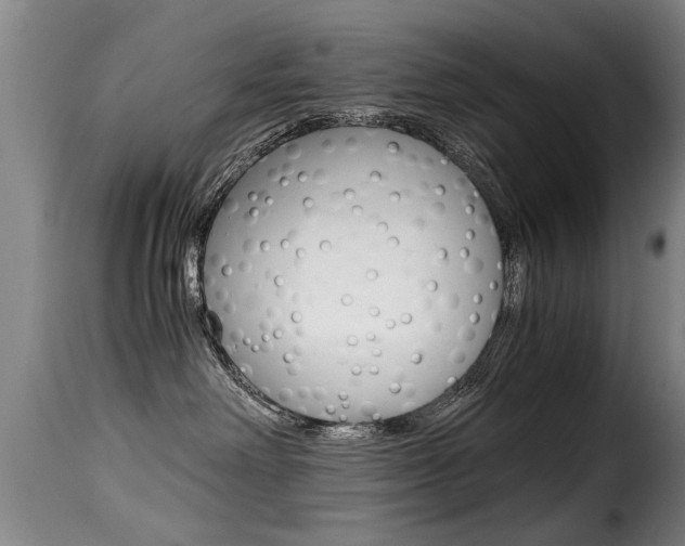 X0000116000238200911191221