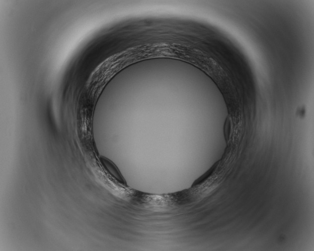 X0000116000239200911191221