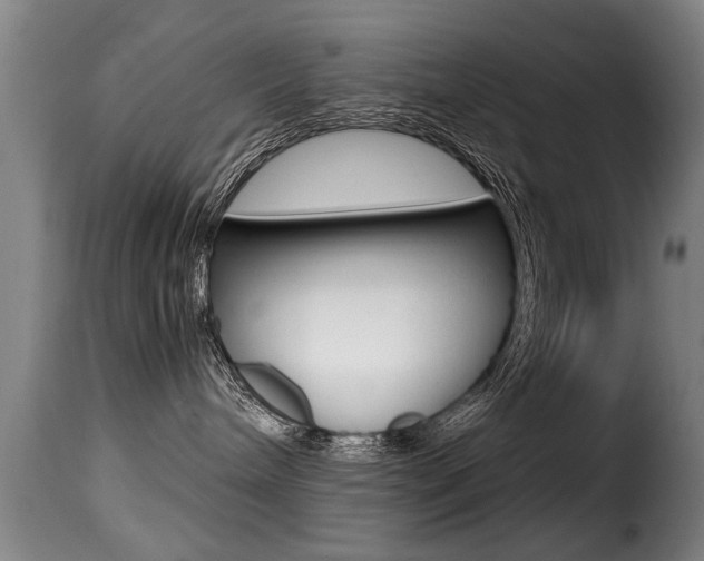 X0000116000240200911191221