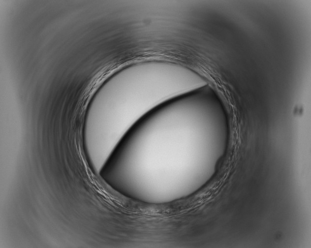 X0000116000241200911191220