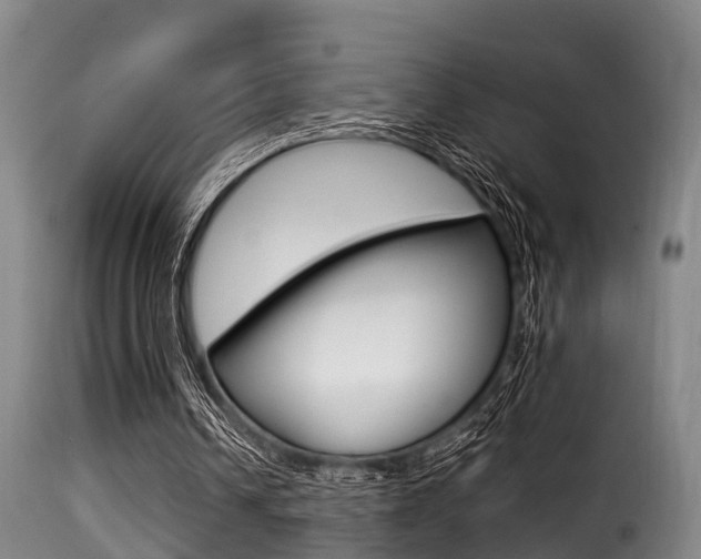 X0000116000242200911191220