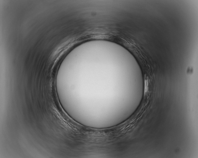 X0000116000243200911191220