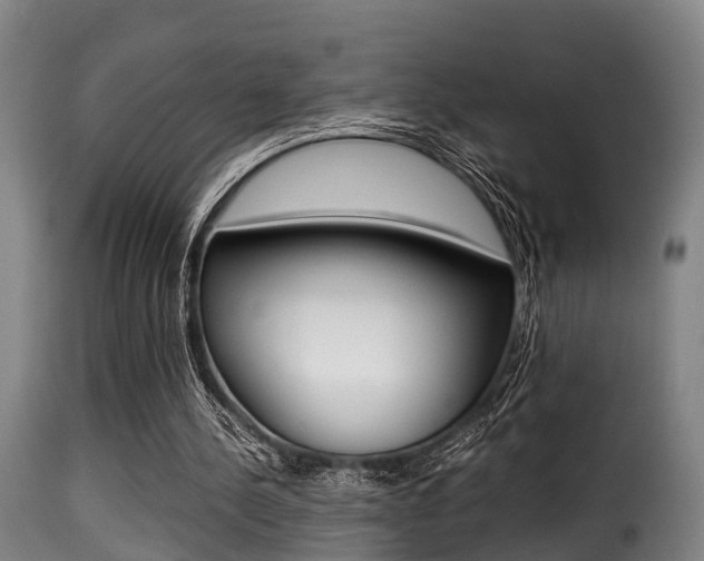 X0000116000244200911191220